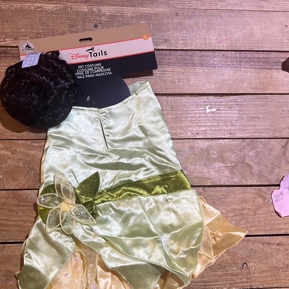 Disney trails pet costume, medium, new with tags